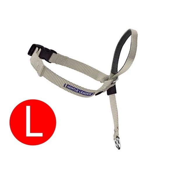 for pets only 新品スペシャルオーダー カラー25cm＆リード限定品