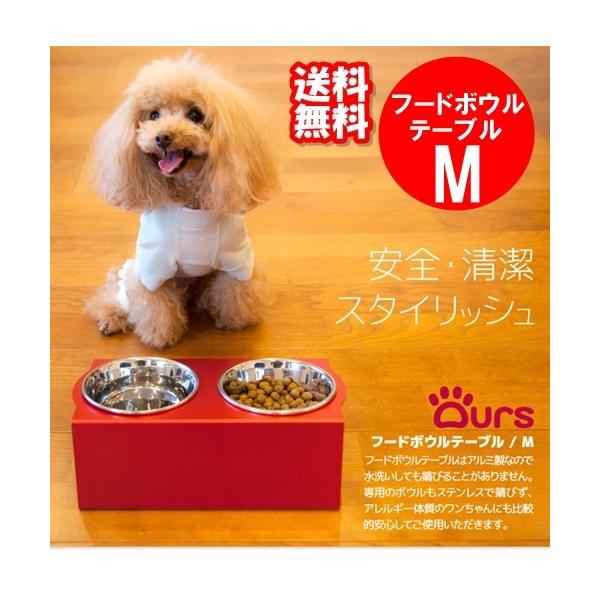  H HX^h t[h{E Ours t[h{Ee[u MTCY S11F