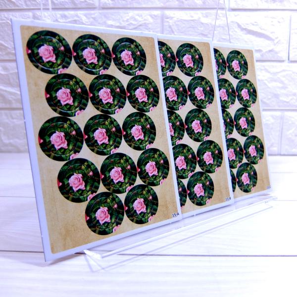 デザイナー: Martin Wallace原題： Wildlands: The Thorns &amp; the Rosesメーカー: Frosted Games, Osprey Games言語: English, Germanプレイ人数:...