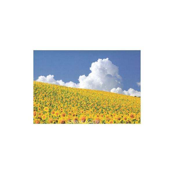 ポストカード お花 ひまわり畑 北海道美瑛 よこ版 Pin Na42 Hana 474 l Pictorial Network 通販 Yahoo ショッピング