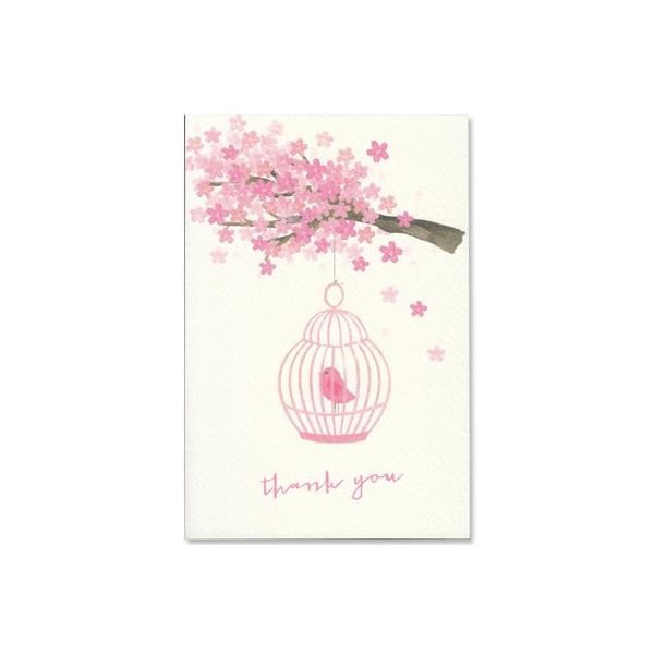 ポストカード イラスト 桜のカード 桜と鳥かご Thank You Ot Haru 054 l Pictorial Network 通販 Yahoo ショッピング