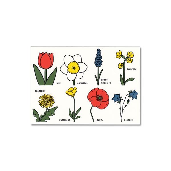 ポストカード イラスト ディック ブルーナ ミッフィー 8種類のお花 Yujin Db510 Ill 1771 l Pictorial Network 通販 Yahoo ショッピング