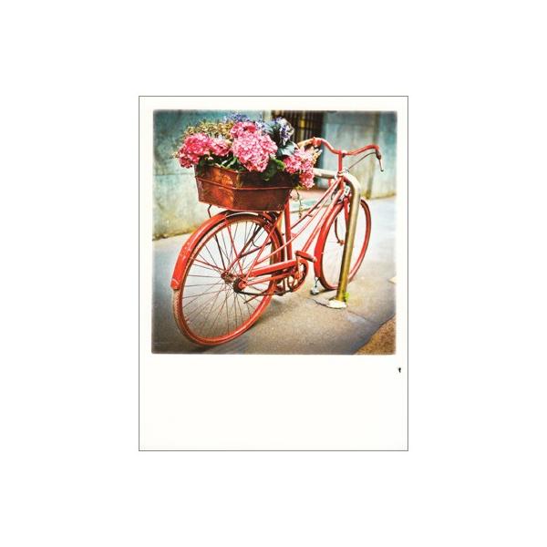 ポストカード 風景 Polacard インスタントカメラデザイン 自転車と花 Heart Scene 578 l Pictorial Network 通販 Yahoo ショッピング