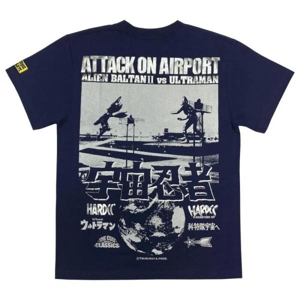 bdrop_t-ab2vsul-indi_4_d_20250930123313