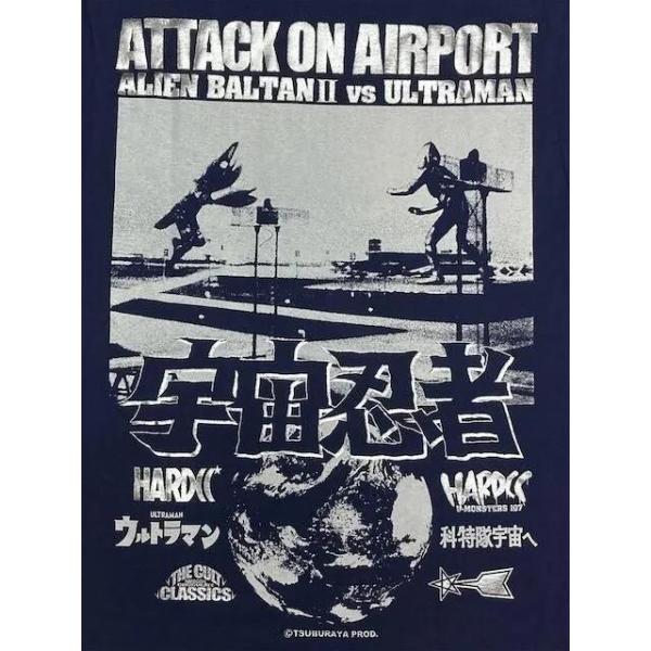 bdrop_t-ab2vsul-indi_5_d_20250930123313