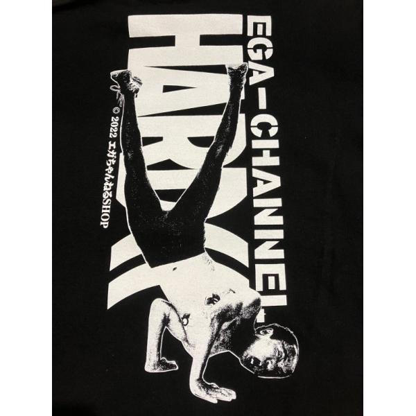 bdrop_t-e250_3_d_20230813134413