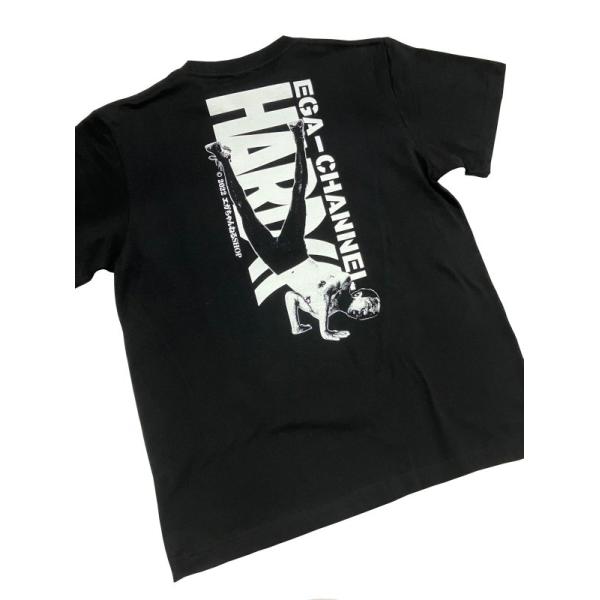 bdrop_t-e250_5_d_20230813134413