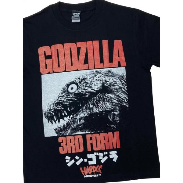 bdrop_t-sgodz-3form_2_d_20260123172521