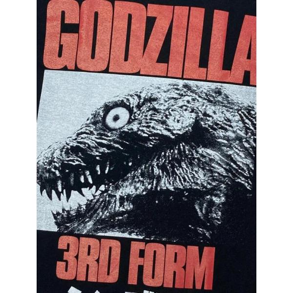 bdrop_t-sgodz-3form_3_d_20260123172521