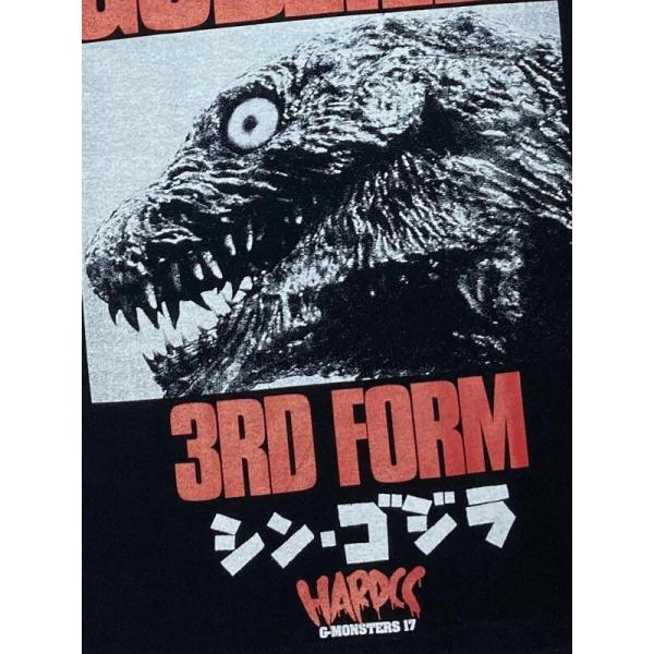 bdrop_t-sgodz-3form_4_d_20260123172521