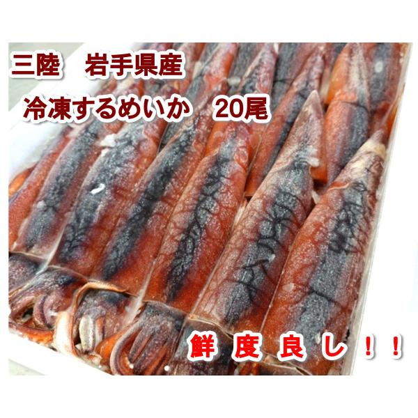 鮮度抜群 ！ 冷凍生するめいか 大 20杯 入り 氷ごと急速凍結 生冷 下氷 三陸 岩手県産 1杯 約 250g イカ 烏賊 するめいか 真いかイカ 刺身 塩辛 青森 北海道