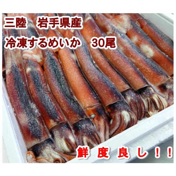 冷凍いか 冷凍生いか 30杯入り 岩手県産 三陸産 新鮮な生いかを冷凍にしました お刺身用、もちろん塩辛にも最適鮮度です （いか/イカ/烏賊/刺身/スルメイカ）