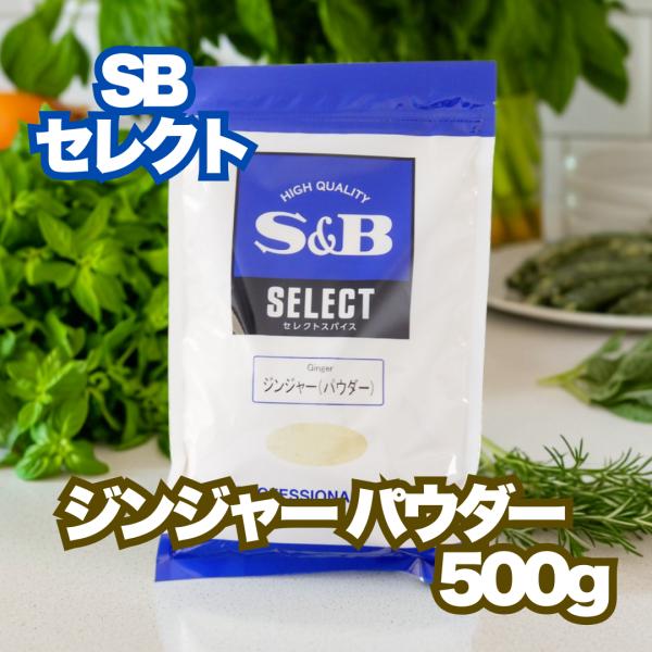 エスビー食品 SB セレクト ジンジャー パウダー 500g 業務用