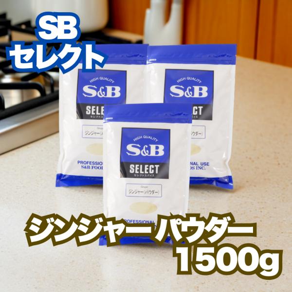 エスビー食品 SB セレクト ジンジャー パウダー 500g 合計1.5kg 業務用