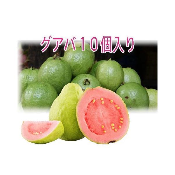 グアバ 約10個 約1キロ以上 沖縄産 数量限定 : okinawa マリンブルー