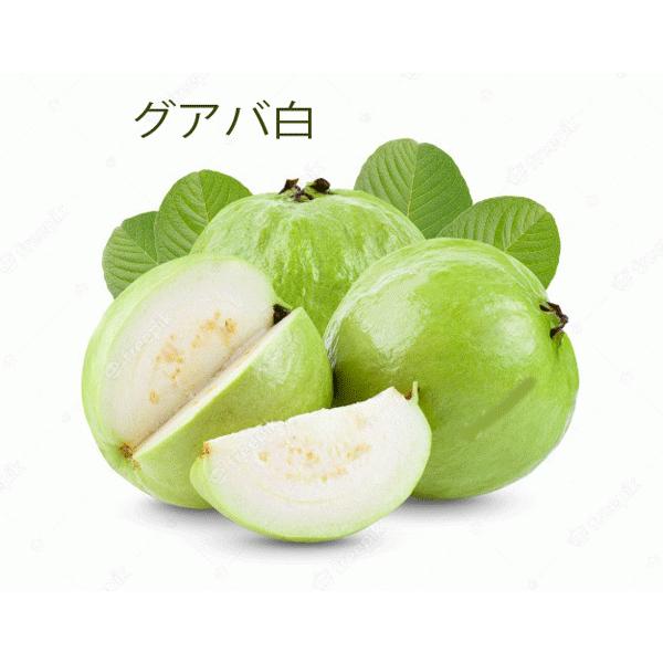グアバ白 黄 MIX グァバ7個 沖縄産 ビタミンC豊富 全国送料無料 グアバ白 黄 MIX グァバ7個 沖縄産 ビタミンC豊富 全国送料無料