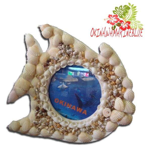 Mы@@ʐ^ā@zCgVFłł@ʐ^ā@@쓇G݁@@Mtg@쓇t[@V̖؁@tHgt[@V