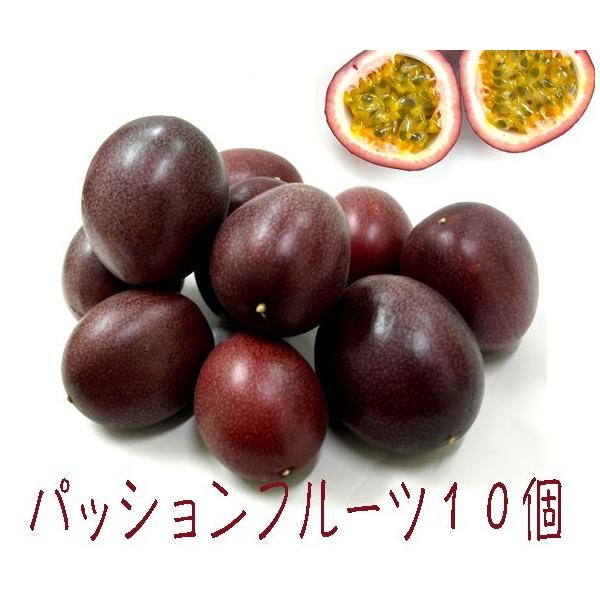 パッションフルーツ 10個 沖縄南部 トロピカルフルーツ :pasipai10:okinawa マリンブルー 通販 