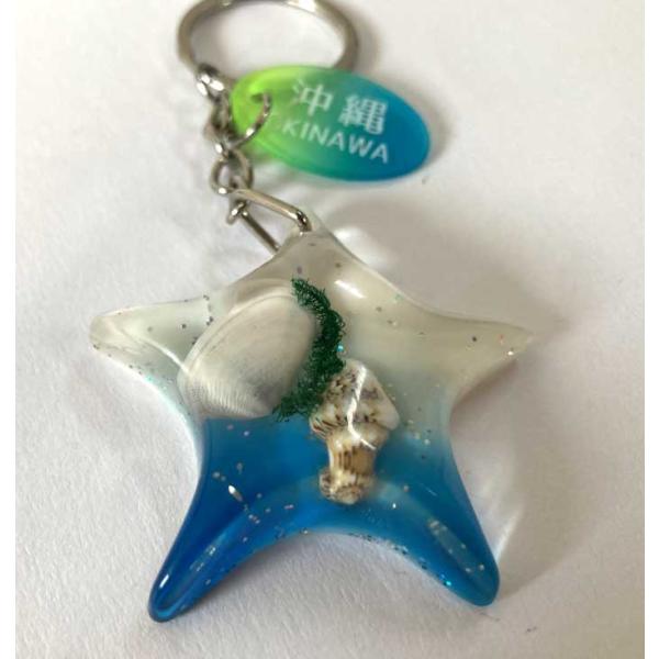 キーホルダー ヒトデ レジン シェル OKINAWA : okinawa マリンブルー