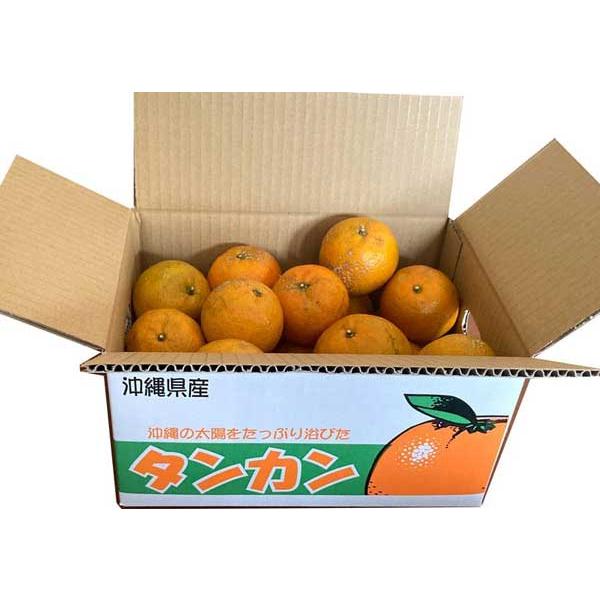 タンカン専用　白箱で発送するので　贈答にも最適ですSサイズからLLサイズミックス　タンカン 約3キロ沖縄北部　本部伊豆味みかんやタンカン名産地　　やんばる　たんかん手で剥けるオレンジ　南国の香り漂うたんかんが超お買い得価格！！知っているヒト...