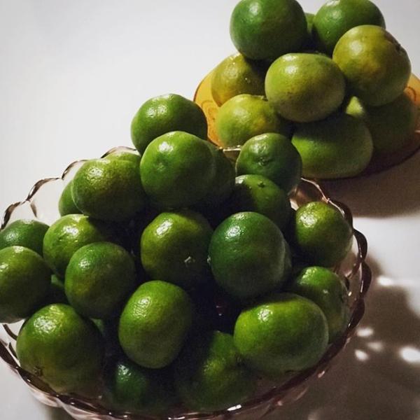 beachstylemarineblue_targ2