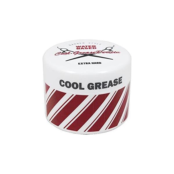 他サイト： 阪本高生堂 ファイン クールグリース ペリシア EXハード 210gの商品画像