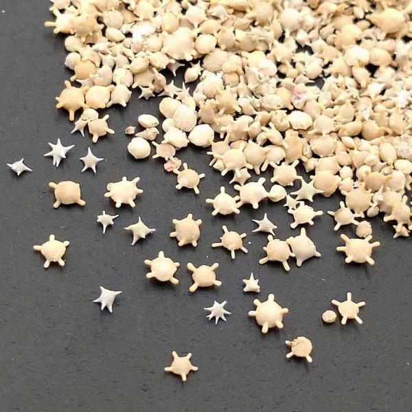 ＊＊ 星砂オーダーページです　＊＊ ビーズクラブ 星の砂 星砂 沖縄県石垣島産 10g レジン用 天然 無漂白