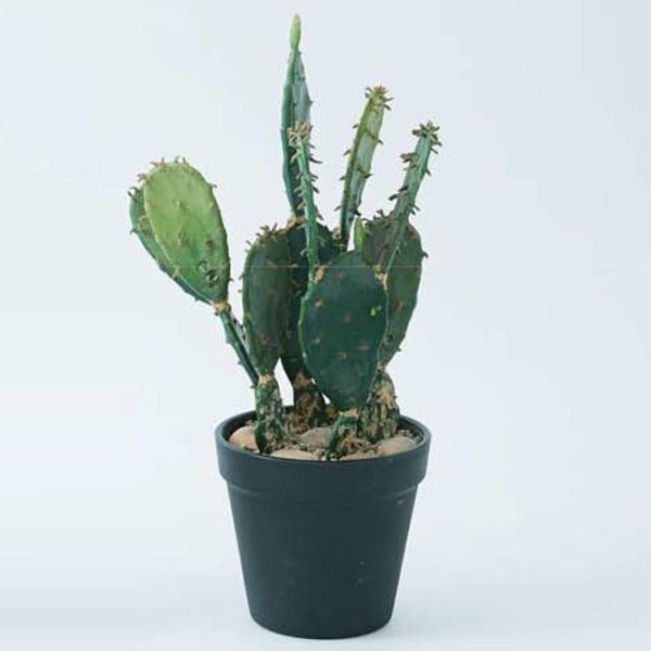 観葉植物 フェイクグリーン インテリアグリーン 多肉植物 ポット Brown