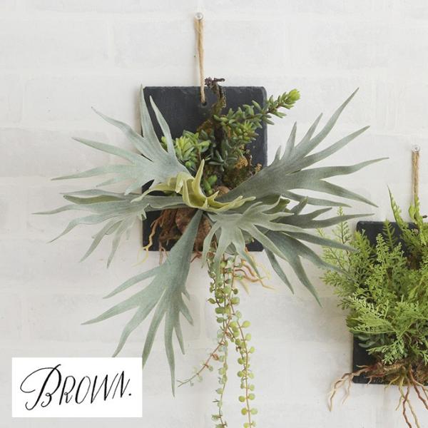 観葉植物 造花 フェイクグリーン コウモリラン Brown. ブラウン ビカクシダ ウォールハンギング スレート 20 _PP02 991770