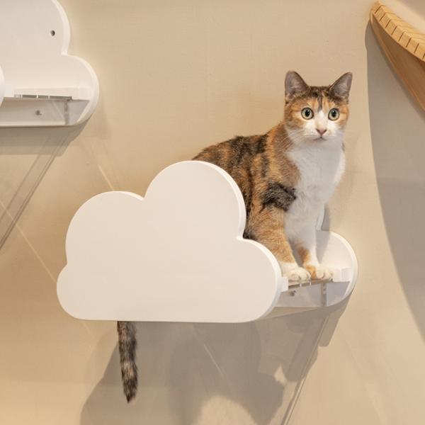 猫 キャットステップ キャットウォーク 壁付け 壁掛け MYZOO マイズー
