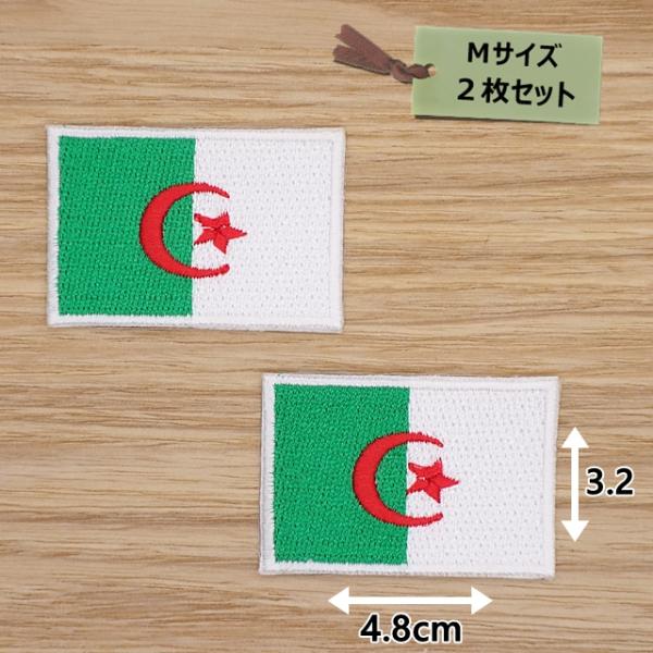 アイロンワッペン(アルジェリア国旗)(Ｍサイズ)2個セット