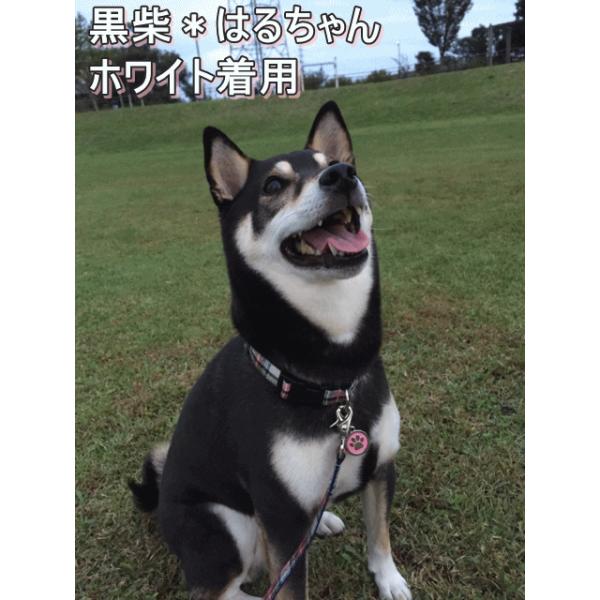 犬用首輪 ハーネス リネンタータンチェック 全３色 オーダーメイド品 子犬 小型犬 中型犬 麻 人気 猫の首輪 １０mm 再入荷 Buyee Buyee Japanese Proxy Service Buy From Japan Bot Online