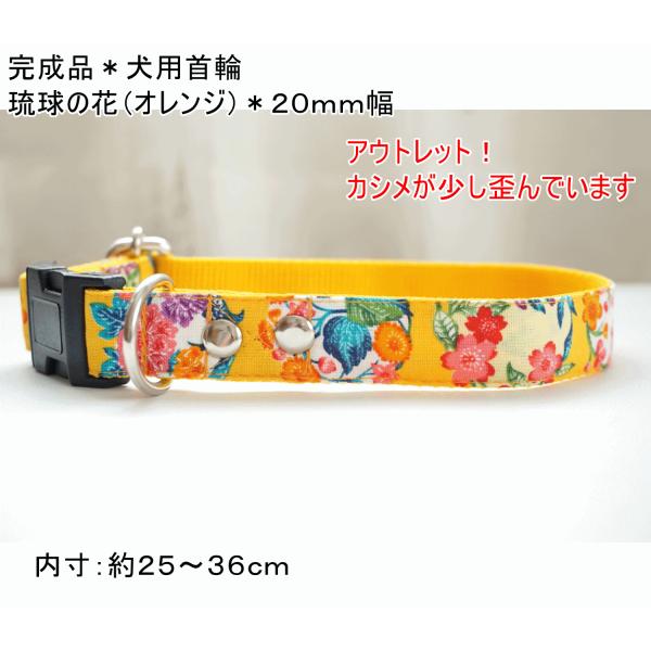 完成品　犬用首輪　琉球の花（オレンジ）  ２０ｍｍ幅　犬　子犬　中型犬　小型犬　夏　沖縄　花柄　和柄　アウトレット