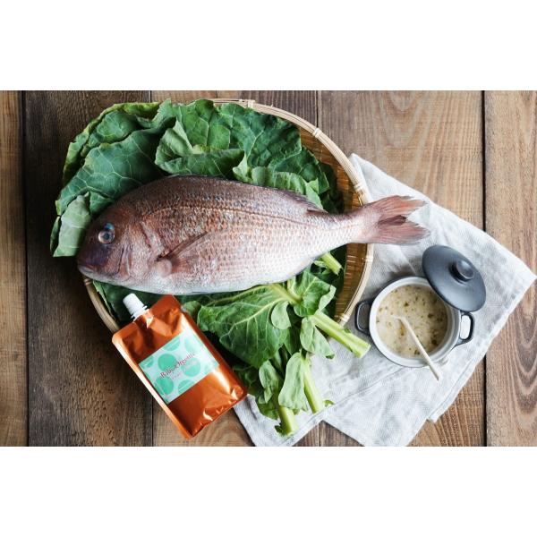 【大サイズ・160g】離乳食 無添加 オーガニック 有機無農薬 野菜 天然だし BabyOrgente 鯛＆ケールおじや 1袋