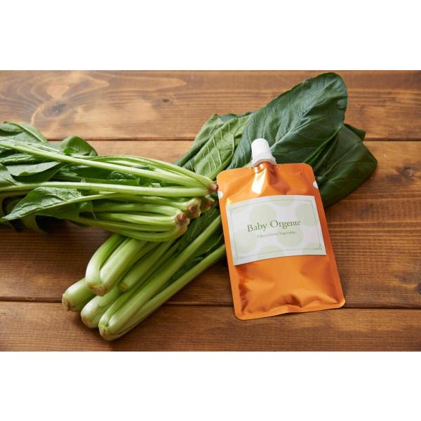 「知っていますか？」一般的なベビーフードの多くは、「B級やC級といわれる野菜」や「鰹や昆布の質の低いエキス」を使います。その真実を知っているからこそ、私たちは本当に自分の子供に食べさせたいベビーフードを作りました。＜商品特徴＞有機＆無農薬の...