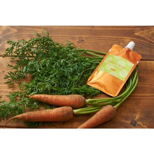 一年にごく限られた時期にしか収穫できないだけでなく一般のスーパーで買えない貴重な「葉付き丸ごとニンジン」をおじやに仕上げました。「椎茸＆昆布」天然だしです。＜商品特長＞有機＆無農薬のお野菜と天然だしで手作りしたオーガニックベビーフードです。...