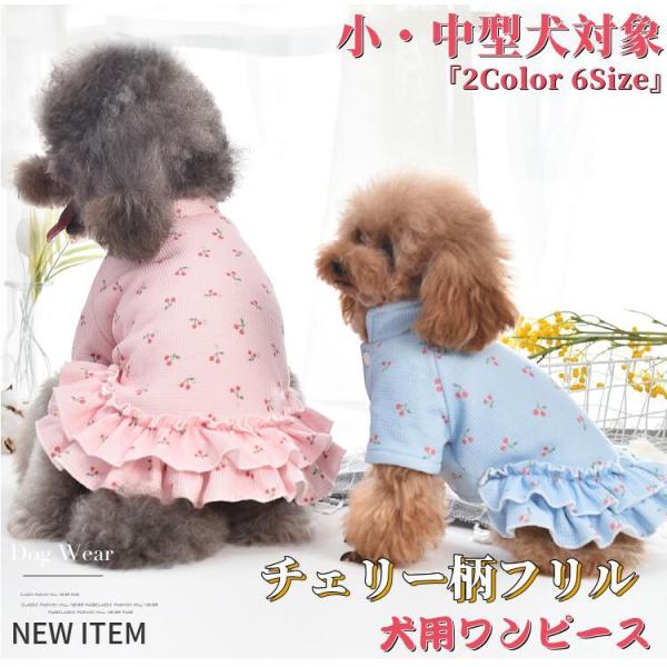 beanspet2018_wear2022-20