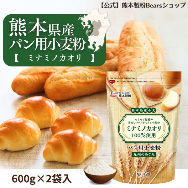 熊本県産パン用小麦粉九州のめぐみ600g×5個セット 送料無料 強力粉 国産 九州産 ホームベーカリー 爆買