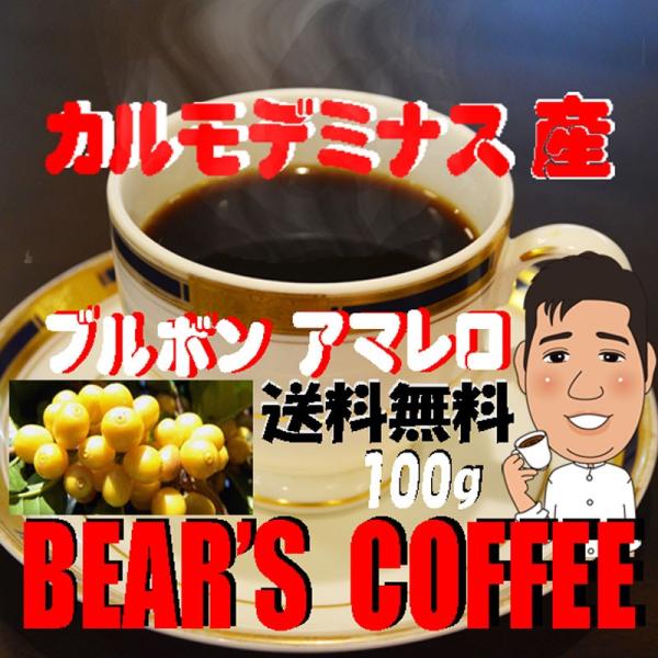 bearscoffee コーヒー豆ブラジル カルモデミナス産 100g ブルボンアマレロ コーヒー豆お試し コーヒー豆焙煎 コーヒー送料無料