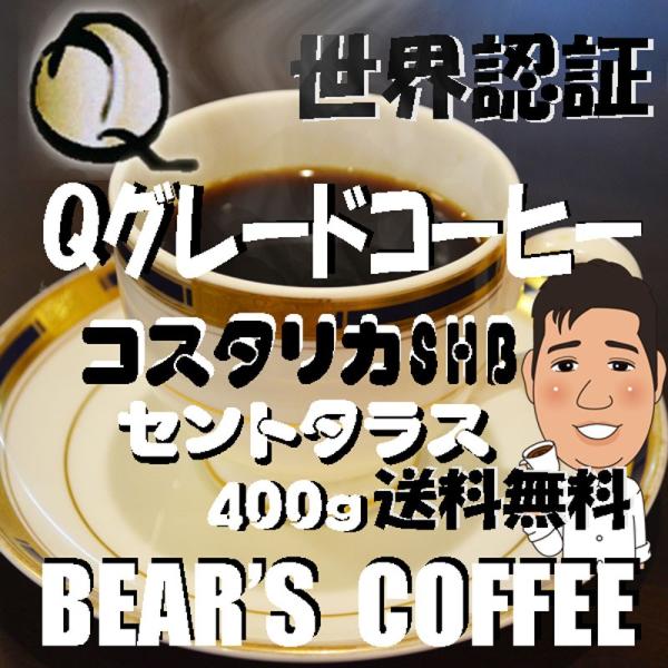 bears coffee R[q[R^J Zg^X 400  QO[h蓤 @