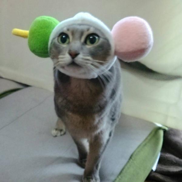 犬猫用コスプレ 三色団子のかぶりもの 帽子 変身 ペット用 Buyee Buyee 提供一站式最全面最專業現地yahoo Japan拍賣代bid代拍代購服務 Bot Online