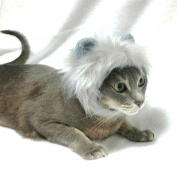 犬猫用コスプレ ライオンのかぶりもの グレー 帽子 変身 ペット用 Buyee Buyee 日本の通販商品 オークションの代理入札 代理購入