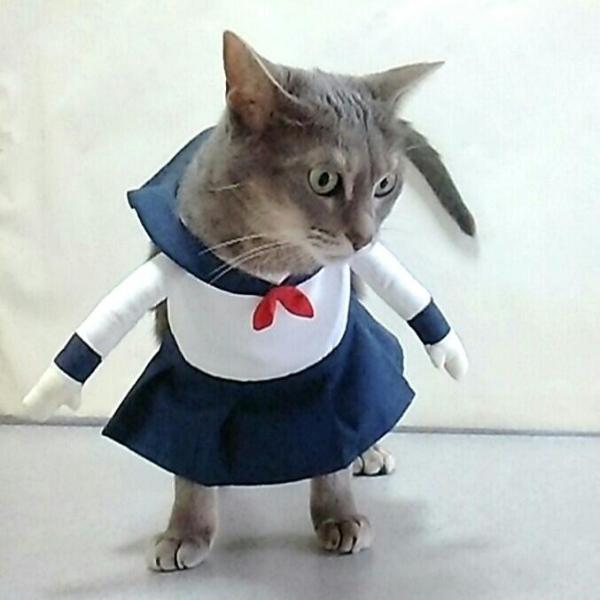 ネコ コスプレ 猫の変装,日本の漫画のキャラクターが描かれた服,コスプレ