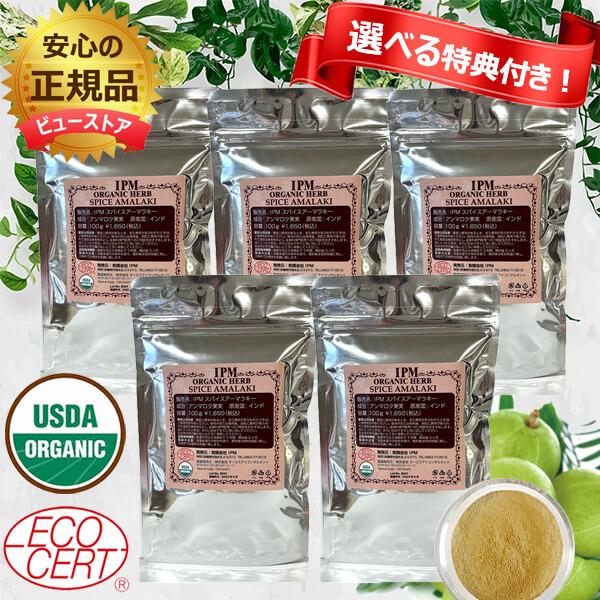 ☆選べる特典付き IPM スパイスアーマラキー 100g ヘナ 5個セット