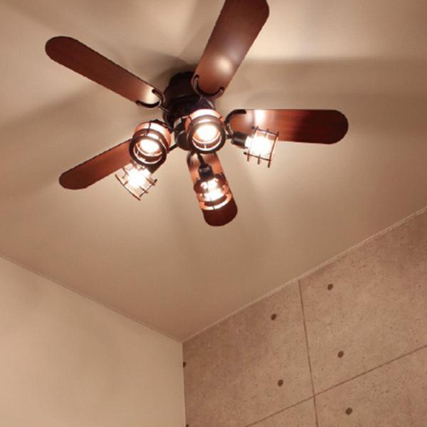 beaubelle_a12ysf-377