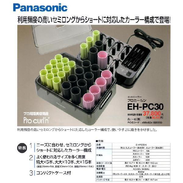 ホットカーラー用止めピン10本セット（プロカールン・カールン