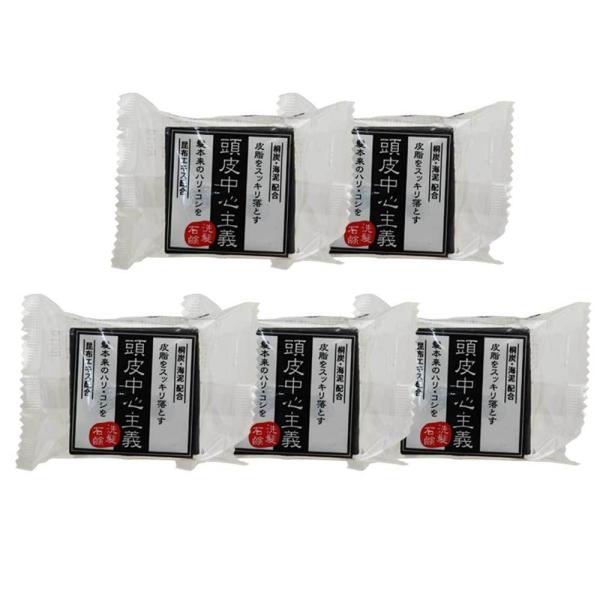 菊星 頭皮中心主義 洗髪石鹸 30g【5個セット】【送料無料・クリックポスト便発送】