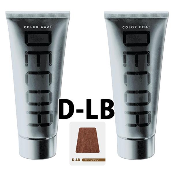 2個セット イリヤ カラーコートデコレ D-LBライトブラウン 160g