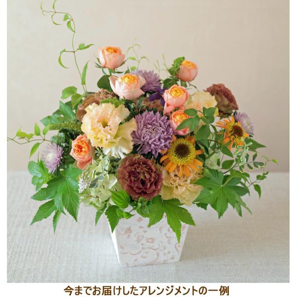 JƏj JX I[v j  v[g  J a j W  j FIׂ I[_[ t[AWg j  o10