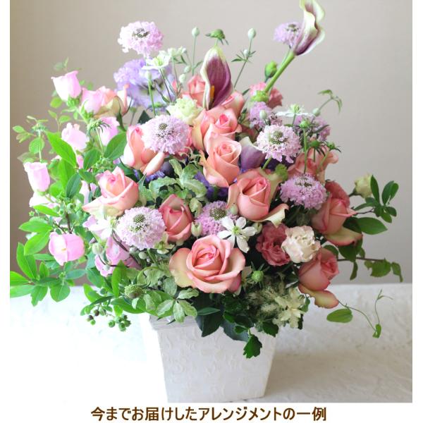 JXj JƏj  t[AWg j  Nj v[g a \   ސEj I[_[ AWg  o20